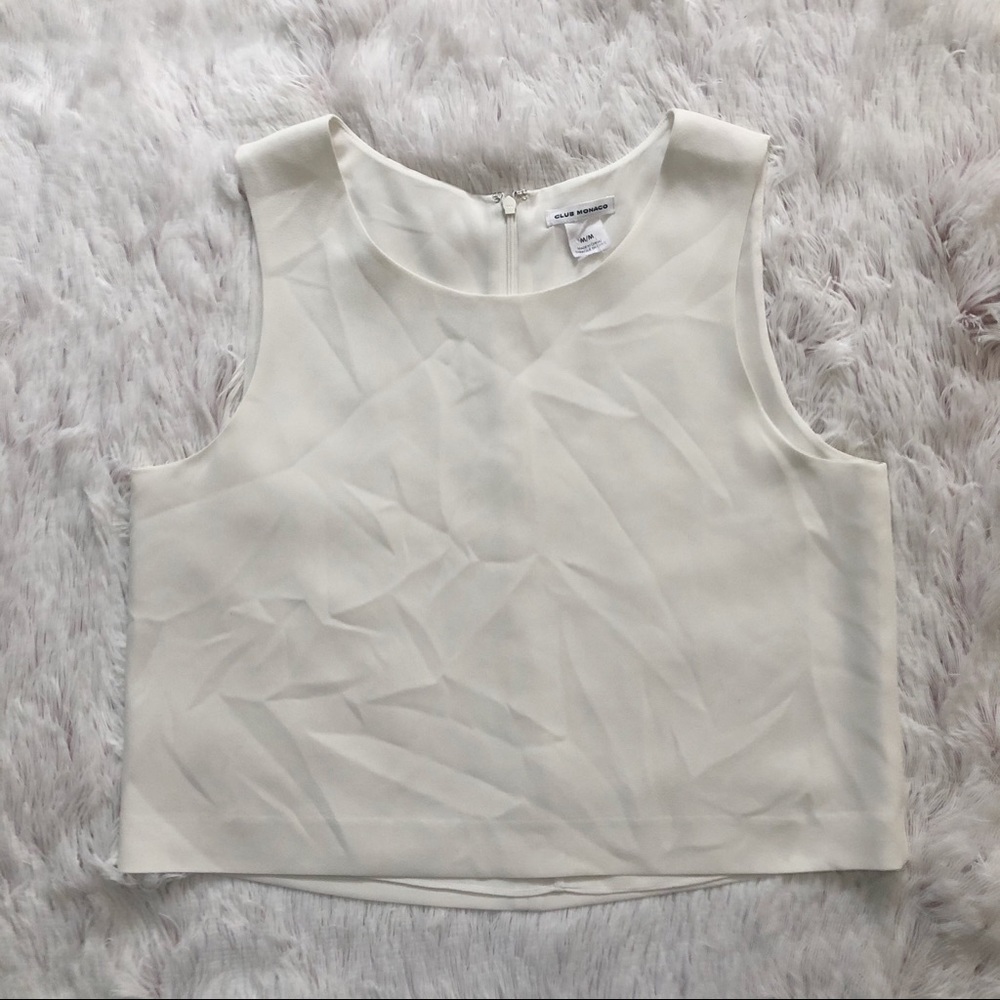 Club Monaco Crop Top